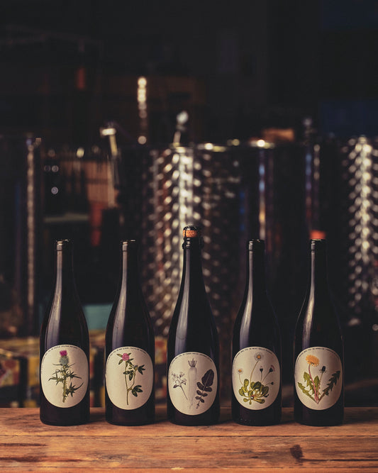 Meet The Wine Maker - Ham Street Wines 8th November
